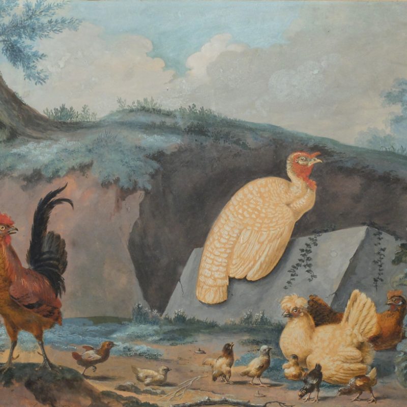 Aert Schouman